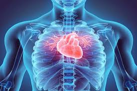 Prise en charge de l'endocardite infectieuse en Tunisie - échocardiographie