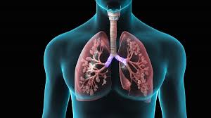 Pneumopathie hypoxémiante - prise en charge respiratoire en Tunisie